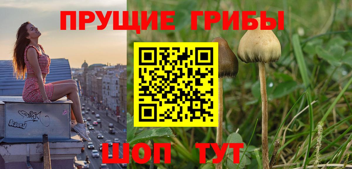 Грозный  Галлюциногенные грибы Magic Shrooms  Вход с VPN 